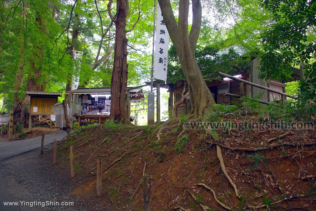 YTS_YTS_20190727_日本東北岩手世界文化遺產中尊寺／金色堂／白山神社能樂殿Japan Tohoku Iwate063_539A5769.jpg