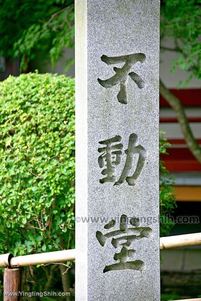 YTS_YTS_20190727_日本東北岩手世界文化遺產中尊寺／金色堂／白山神社能樂殿Japan Tohoku Iwate126_539A5873.jpg