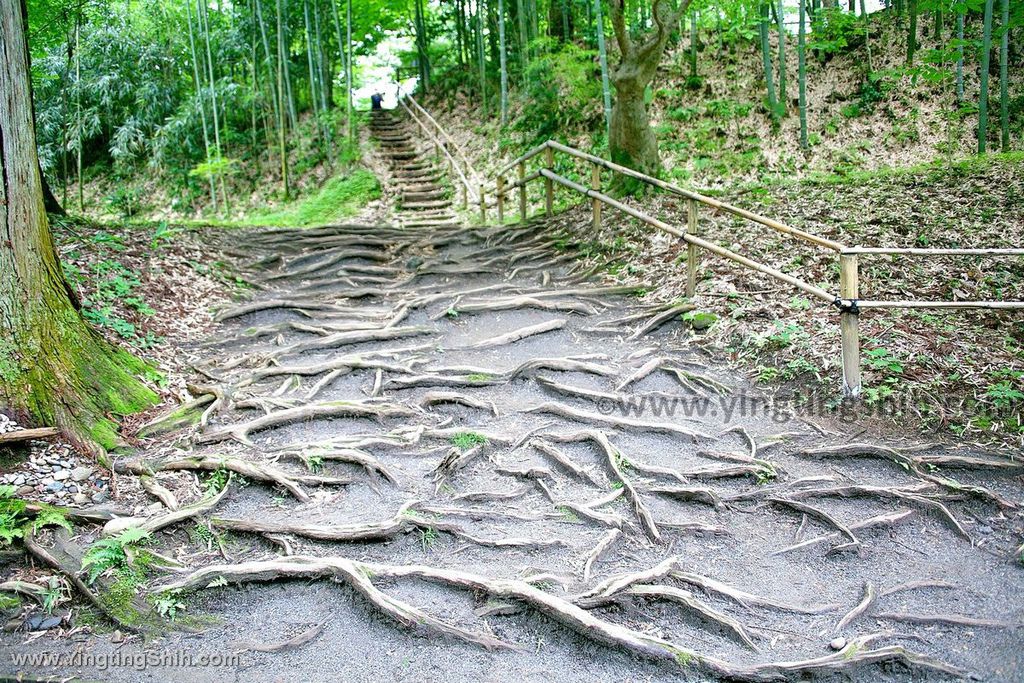 YTS_YTS_20190727_日本東北岩手世界文化遺產中尊寺／金色堂／白山神社能樂殿Japan Tohoku Iwate159_539A6043.jpg