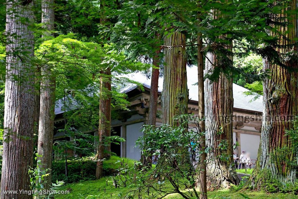 YTS_YTS_20190727_日本東北岩手世界文化遺產中尊寺／金色堂／白山神社能樂殿Japan Tohoku Iwate195_539A5983.jpg