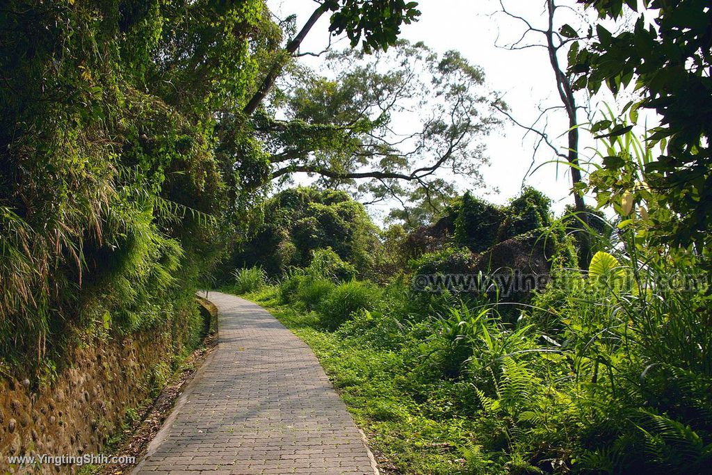 YTS_YTS_20200307_新竹寶山寶山水庫／寶湖吊橋／碧湖吊橋／環湖步道Hsinchu Baoshan014_539A2921.jpg