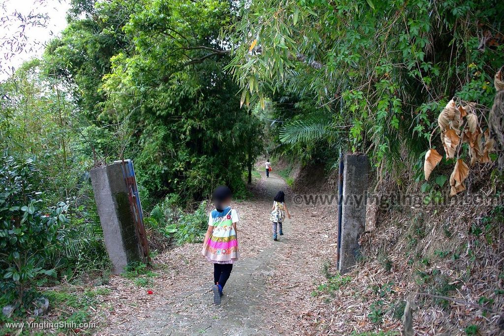 YTS_YTS_20200307_新竹寶山寶山水庫／寶湖吊橋／碧湖吊橋／環湖步道Hsinchu Baoshan064_539A3061.jpg