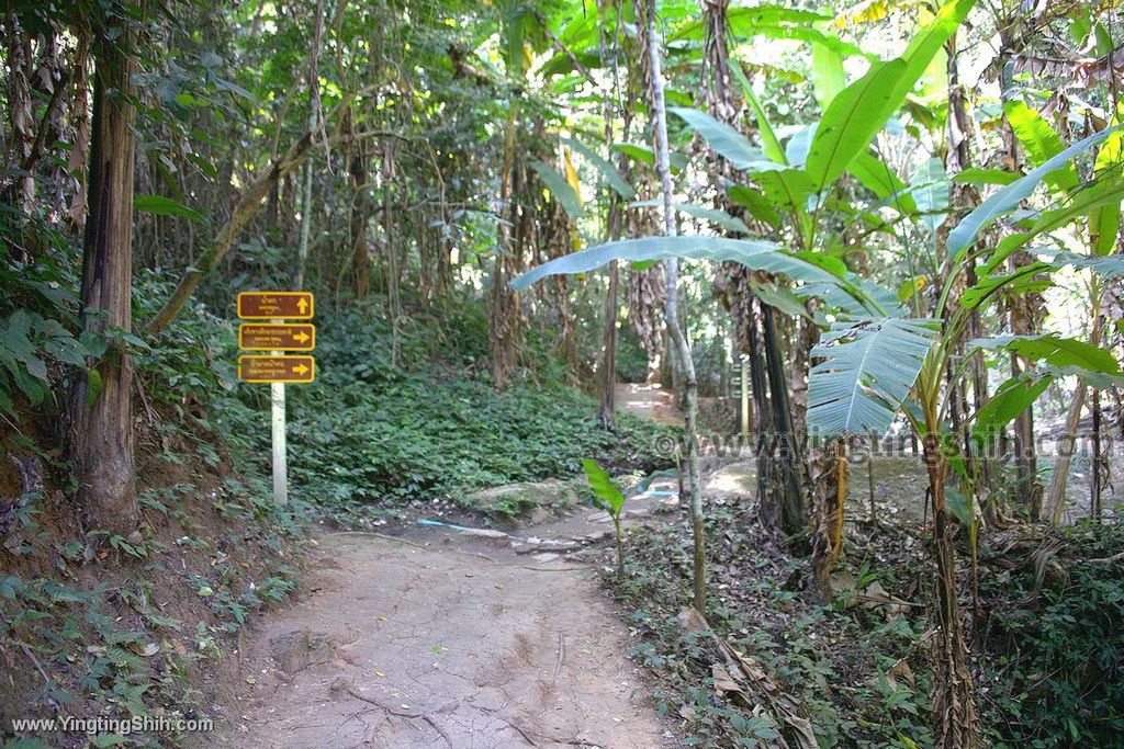 YTS_YTS_20200204_泰國清邁天霧瀑布Thailand Chiang Mai Mork Fa Waterfall019_539A7116.jpg