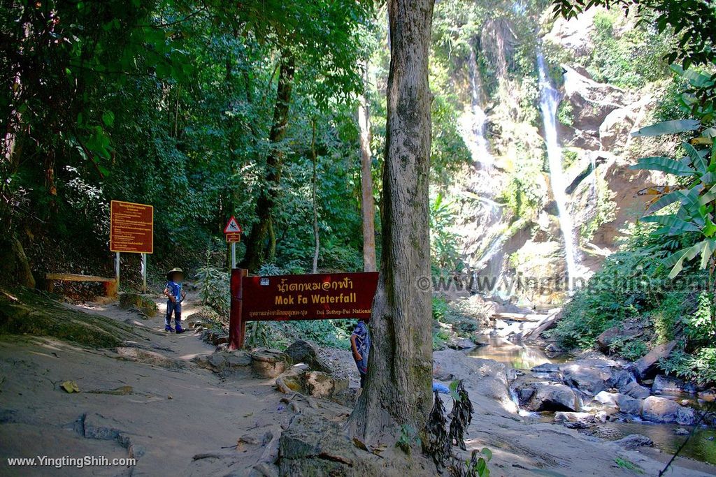 YTS_YTS_20200204_泰國清邁天霧瀑布Thailand Chiang Mai Mork Fa Waterfall024_539A7124.jpg