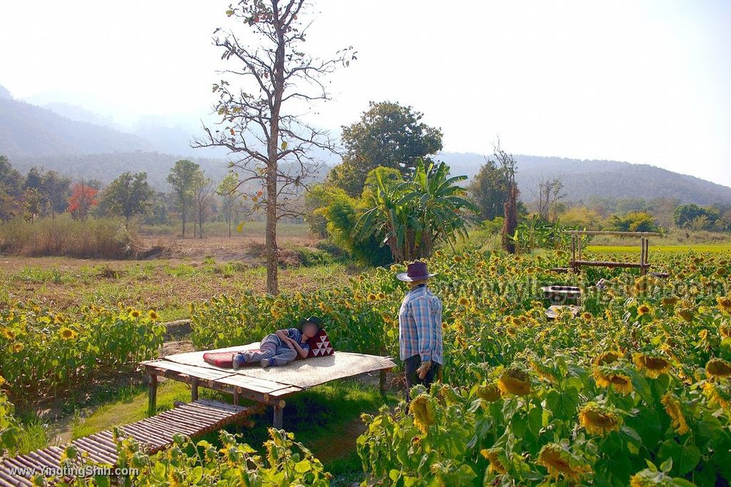 YTS_YTS_20200204_泰國清邁會東陶湖Thailand Chiang Mai076_539A7645.jpg