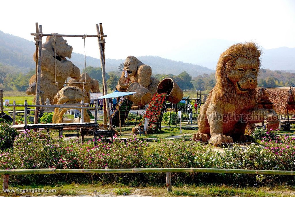 YTS_YTS_20200204_泰國清邁會東陶湖Thailand Chiang Mai090_539A7725.jpg