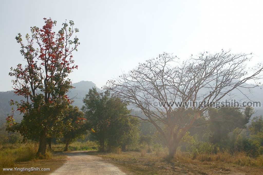 YTS_YTS_20200204_泰國清邁會東陶湖Thailand Chiang Mai117_539A7794.jpg