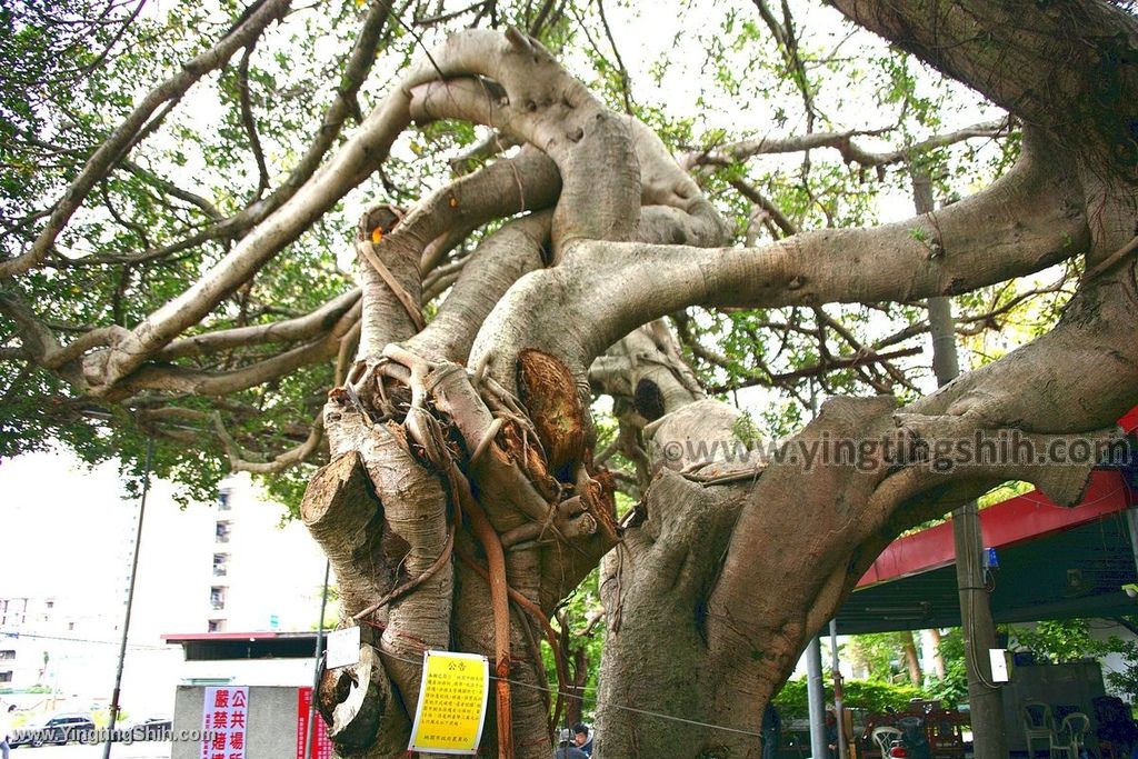 YTS_YTS_20200401_桃園平鎮海豚河馬主題特色公園／民俗文化公園／福星宮002_539A8403.jpg