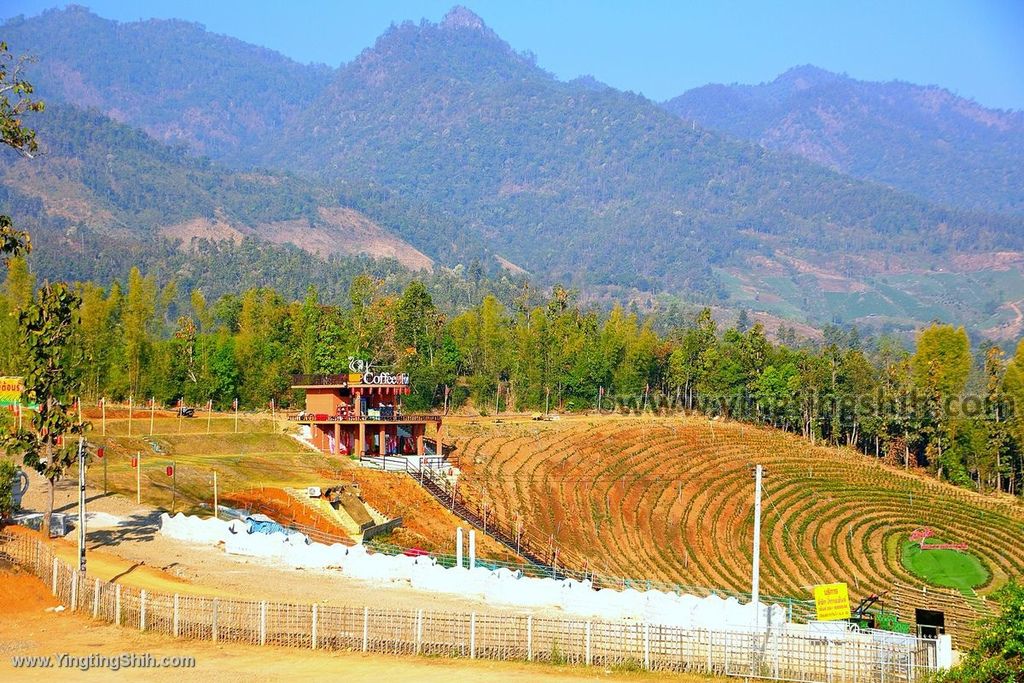 YTS_YTS_20200203_泰國湄宏順拜縣雲來觀景台Thailand Mae Hong Son Pai068_539A6560.jpg