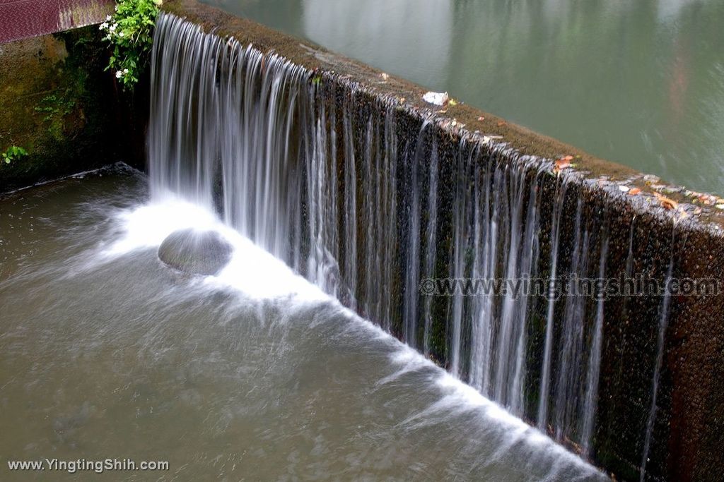 YTS_YTS_20200404_台北士林湯姆森林主題特色公園／共融公園／東和公園008_539A0416.jpg