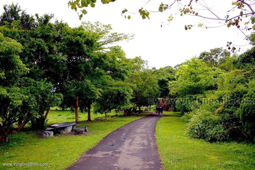 YTS_YTS_20200412_新竹竹東頭前溪生態公園員崠園區／河濱公園親水教育區029_539A3526.jpg