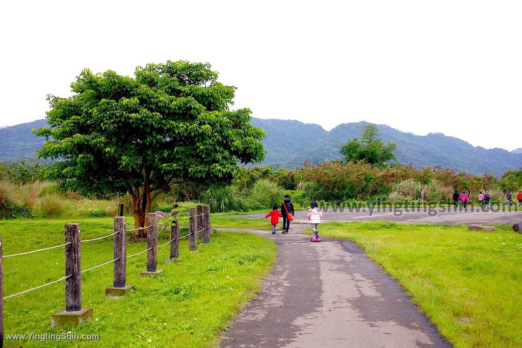 YTS_YTS_20200412_新竹竹東頭前溪生態公園員崠園區／河濱公園親水教育區035_539A3551.jpg