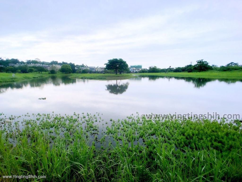 YTS_YTS_20200412_新竹竹東頭前溪生態公園員崠園區／河濱公園親水教育區042_IMG_5477.jpg