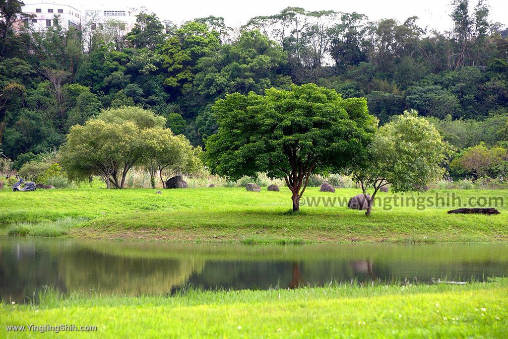 YTS_YTS_20200412_新竹竹東頭前溪生態公園員崠園區／河濱公園親水教育區043_539A3595.jpg