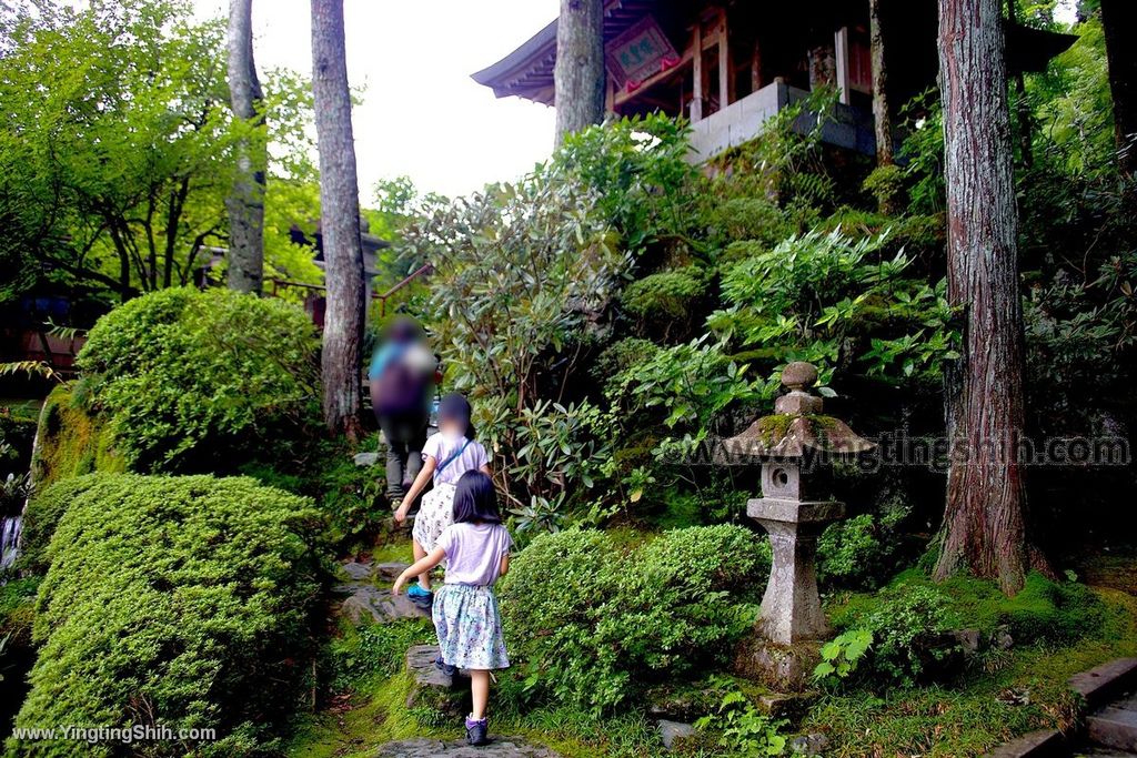 YTS_YTS_20190821_日本東北宮城仙台極樂山定義如來西方寺／天皇塚／五重塔Japan Tohoku Miyagi072_539A7695.jpg