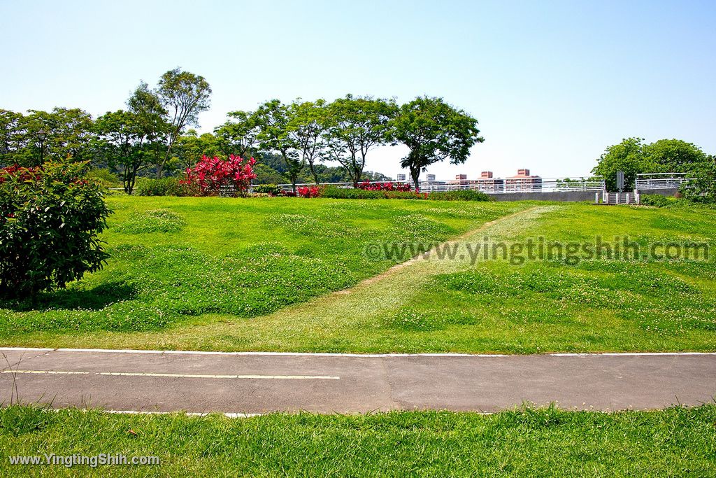 YTS_YTS_20200416_新北新店飛機主題特色公園／共融公園／陽光運動公園／陽光橋023_539A4251.jpg