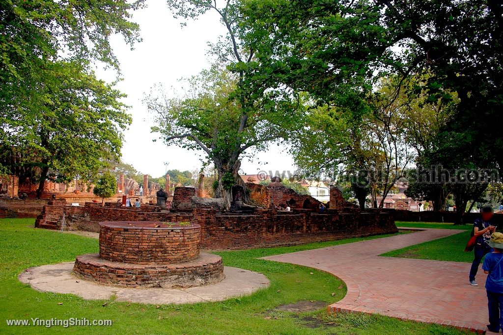 YTS_YTS_20200122_泰國大城瑪哈泰寺／樹抱佛頭／樹中佛陀Thailand Ayutthaya045_539A8102.jpg