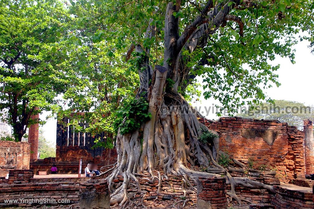 YTS_YTS_20200122_泰國大城瑪哈泰寺／樹抱佛頭／樹中佛陀Thailand Ayutthaya051_539A8120.jpg