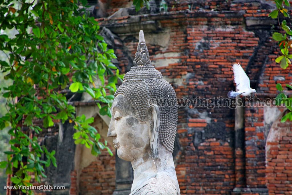 YTS_YTS_20200122_泰國大城瑪哈泰寺／樹抱佛頭／樹中佛陀Thailand Ayutthaya062_539A8300.jpg