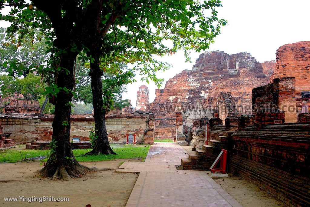 YTS_YTS_20200122_泰國大城瑪哈泰寺／樹抱佛頭／樹中佛陀Thailand Ayutthaya079_539A8241.jpg