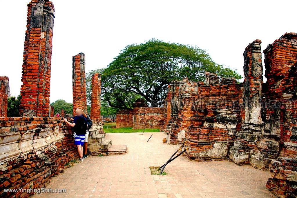 YTS_YTS_20200122_泰國大城瑪哈泰寺／樹抱佛頭／樹中佛陀Thailand Ayutthaya083_539A8249.jpg