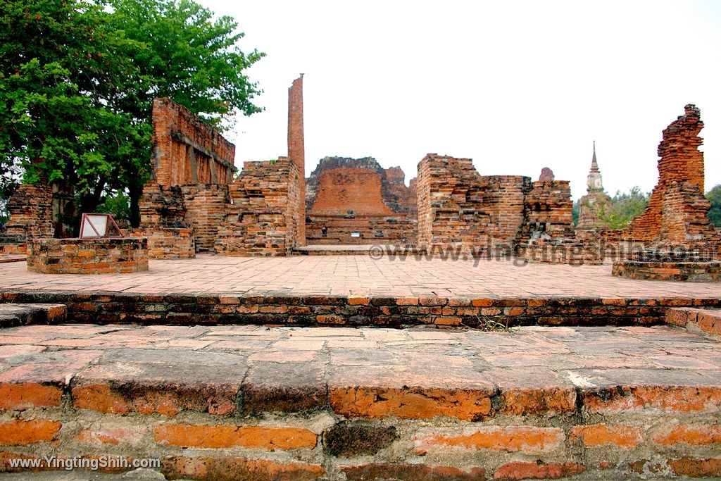 YTS_YTS_20200122_泰國大城瑪哈泰寺／樹抱佛頭／樹中佛陀Thailand Ayutthaya084_539A8251.jpg