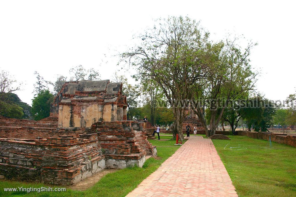 YTS_YTS_20200122_泰國大城瑪哈泰寺／樹抱佛頭／樹中佛陀Thailand Ayutthaya151_539A8514.jpg