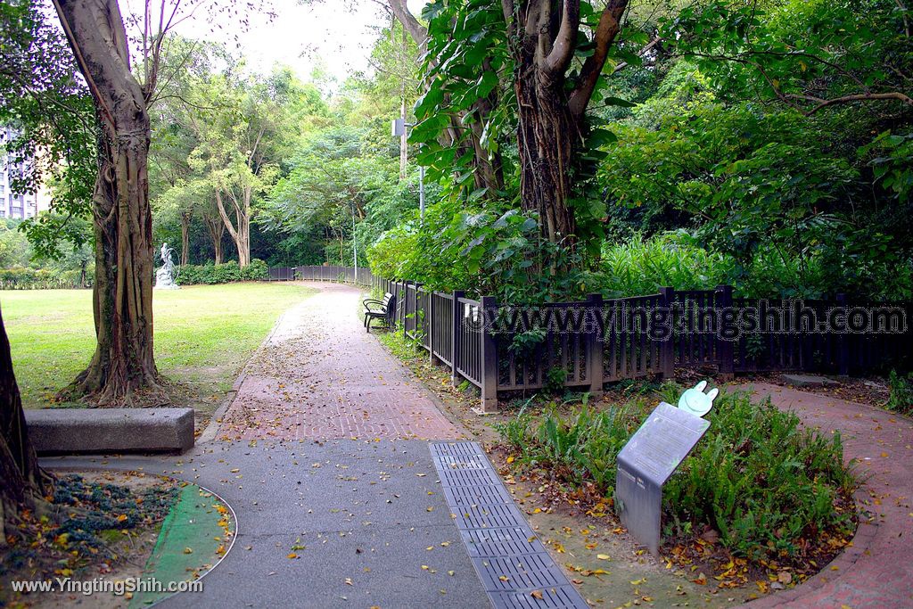 YTS_YTS_20200502_台北信義樹蛙主題特色公園／共融遊戲場／象山公園遊樂場030_539A0877.jpg