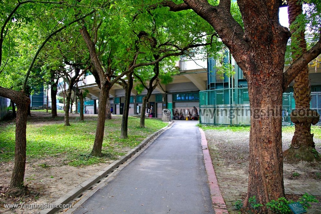 YTS_YTS_20200502_新北新莊棒球主題特色公園／手套小屋／共融遊戲場／國民運動中心009_539A0224.jpg