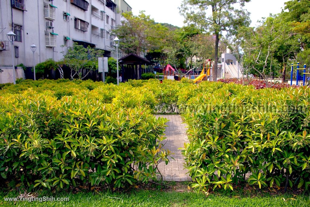 YTS_YTS_20200509_新北泰山機械人特色公園／小王子彩繪／貴子兒童公園021_539A4046.jpg