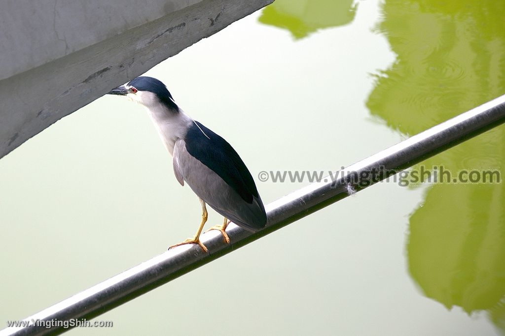 YTS_YTS_20200425_台中南屯跑酷主題特色公園／共融遊戲場／豐樂雕塑公園052_539A8320.jpg