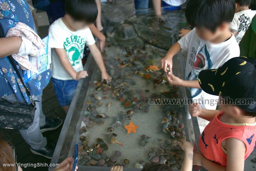 YTS_YTS_20190817_日本東北山形鶴岡市立加茂水族館（世界第一水母水族館）／荒埼灯台228_539A8976.jpg