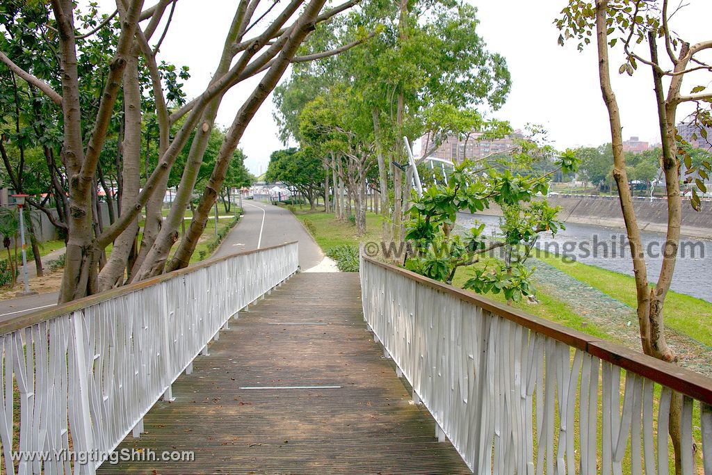 YTS_YTS_20200505_桃園市區直排輪競速區特色公園／三民運動公園020_539A2532.jpg