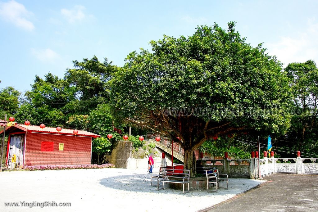 YTS_YTS_20200503_基隆信義廈門福海宮Keelung Xinyi Xiamen Fuhai Temple004_539A2133.jpg