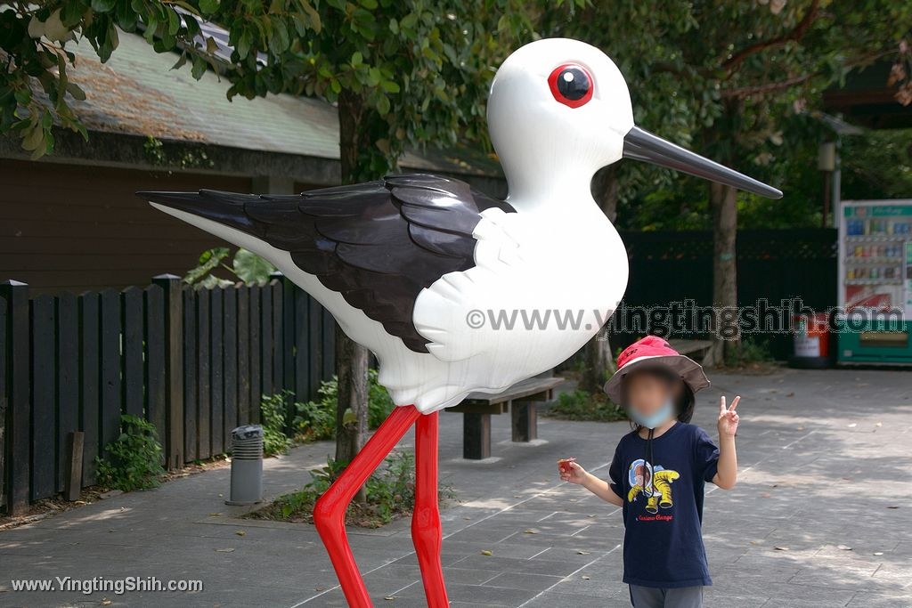 YTS_YTS_20200509_台北北投高倍率望遠鏡賞鳥／關渡自然公園Taipei Beito008_539A3574.jpg