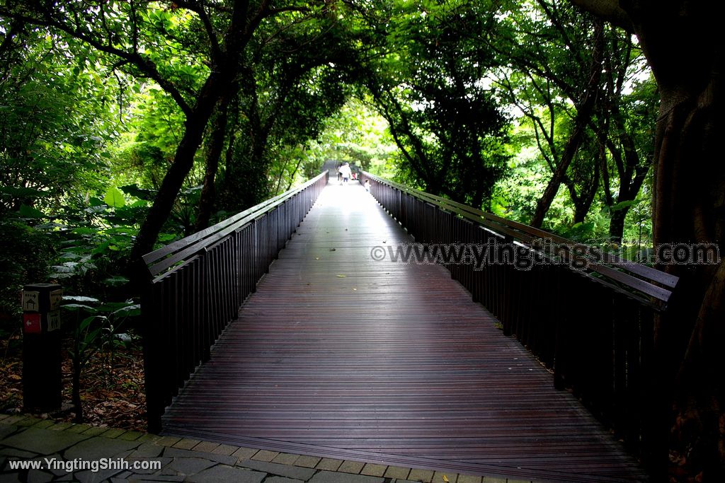 YTS_YTS_20200509_台北北投高倍率望遠鏡賞鳥／關渡自然公園Taipei Beito040_539A3601.jpg