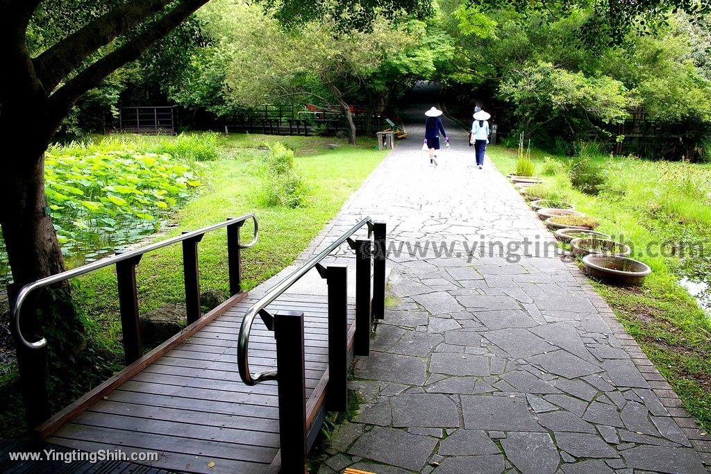 YTS_YTS_20200509_台北北投高倍率望遠鏡賞鳥／關渡自然公園Taipei Beito043_539A3612.jpg