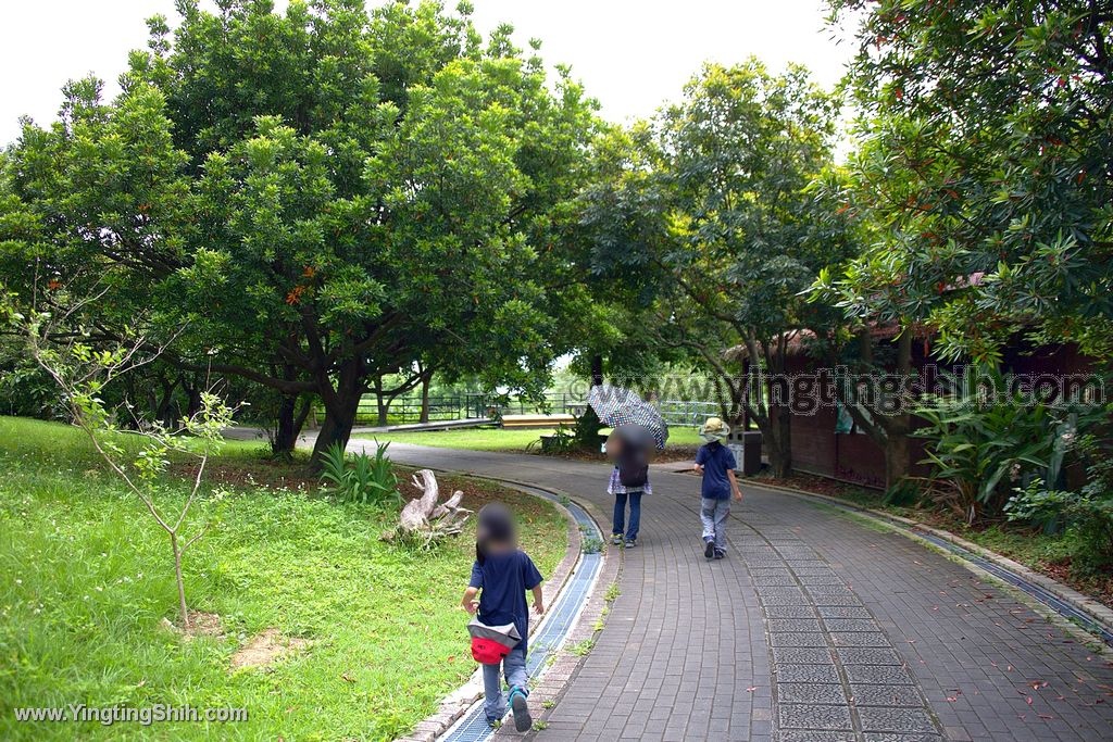 YTS_YTS_20200509_台北北投高倍率望遠鏡賞鳥／關渡自然公園Taipei Beito076_539A3670.jpg