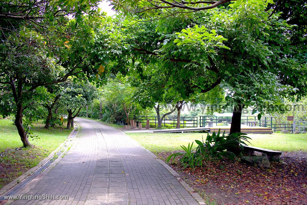 YTS_YTS_20200509_台北北投高倍率望遠鏡賞鳥／關渡自然公園Taipei Beito083_539A3676.jpg