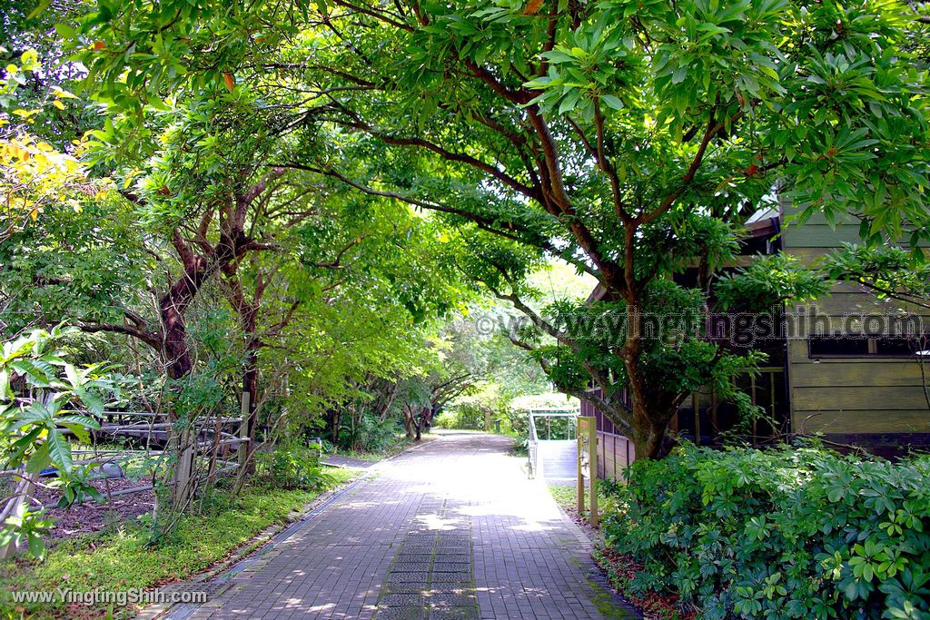 YTS_YTS_20200509_台北北投高倍率望遠鏡賞鳥／關渡自然公園Taipei Beito092_539A3701.jpg