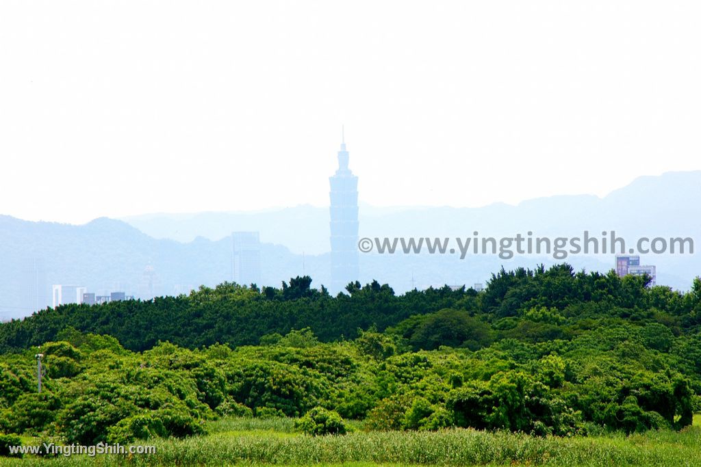 YTS_YTS_20200509_台北北投高倍率望遠鏡賞鳥／關渡自然公園Taipei Beito099_539A3713.jpg