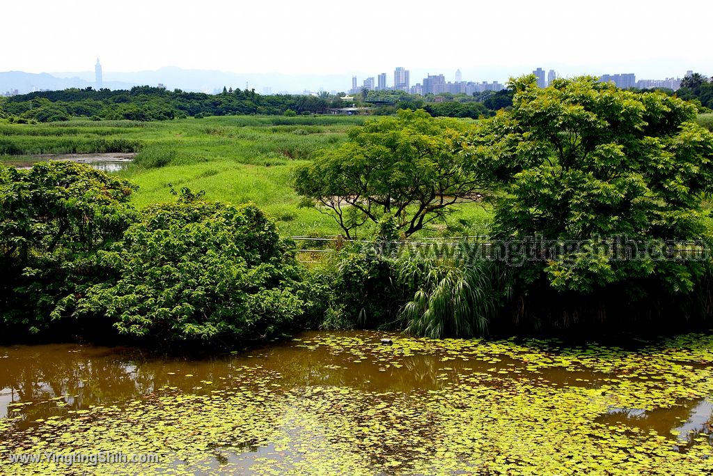 YTS_YTS_20200509_台北北投高倍率望遠鏡賞鳥／關渡自然公園Taipei Beito100_539A3716.jpg