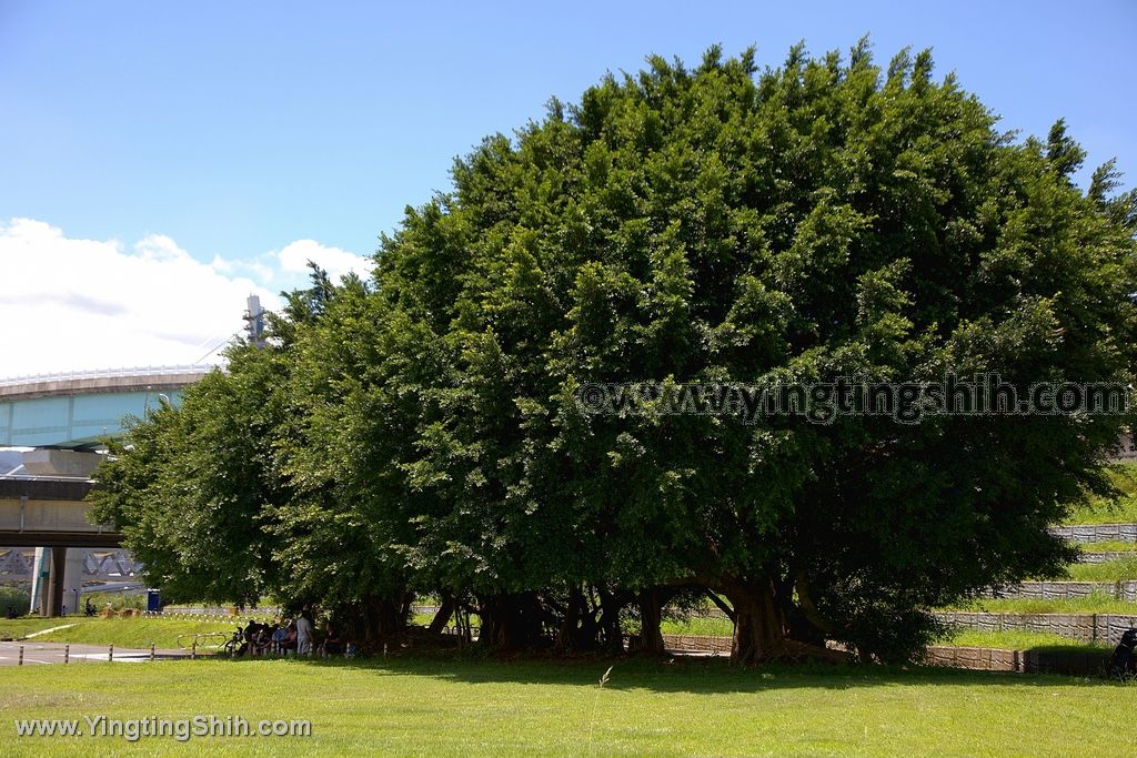 YTS_YTS_20200517_新北新店兒童超跑練習場／秀朗清溪河濱公園013_539A8636.jpg