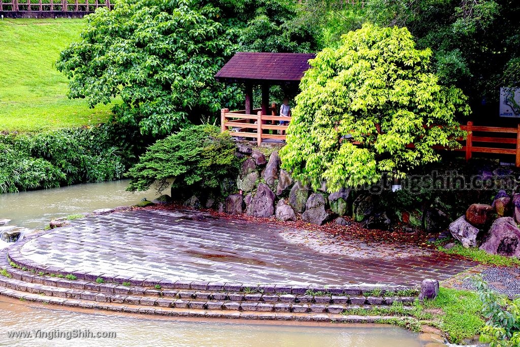 YTS_YTS_20200523_台北內湖大溝溪生態治水園區／生態濕地Taipei Neihu034_539A0695.jpg