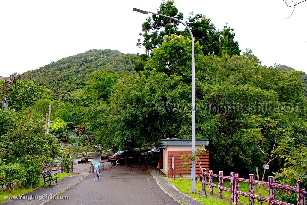 YTS_YTS_20200523_台北內湖大溝溪生態治水園區／生態濕地Taipei Neihu042_539A0731.jpg