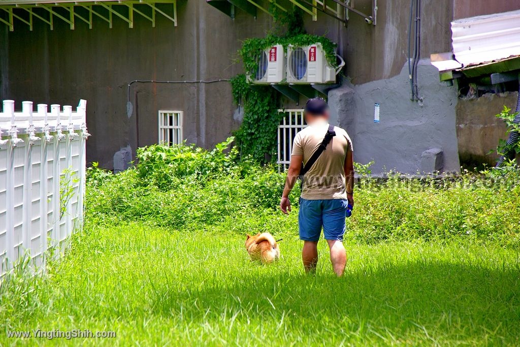 YTS_YTS_20200531_台北中正華山公園狗活動區／華山寵物公園007_539A4669.jpg