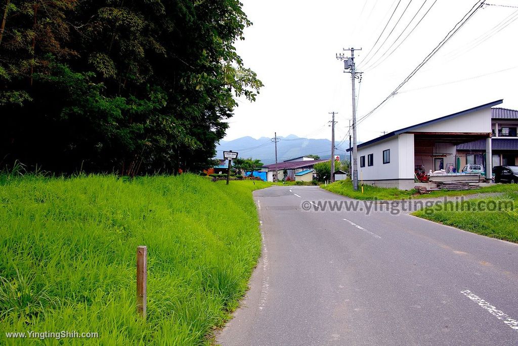 YTS_YTS_20190730_日本東北宮城大崎石の梅古墳・石割の梅Japan Tohoku Miyagi001_539A1173.jpg