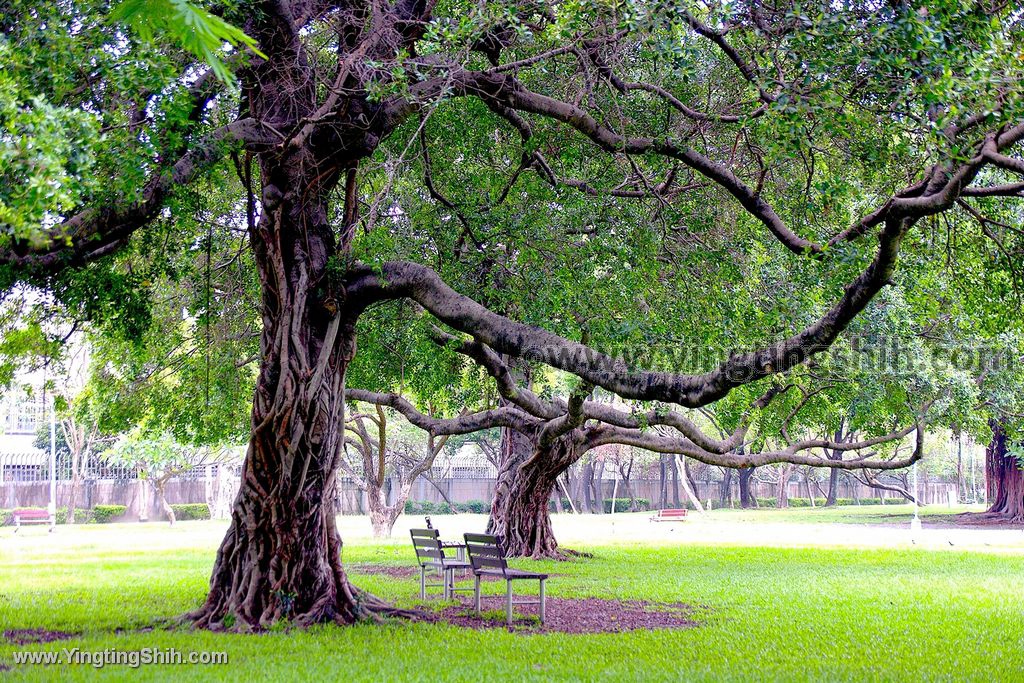 YTS_YTS_20200524_台中南區半平厝公園／原崇倫公園／消防員陳俊宏紀念銅像034_539A1514.jpg