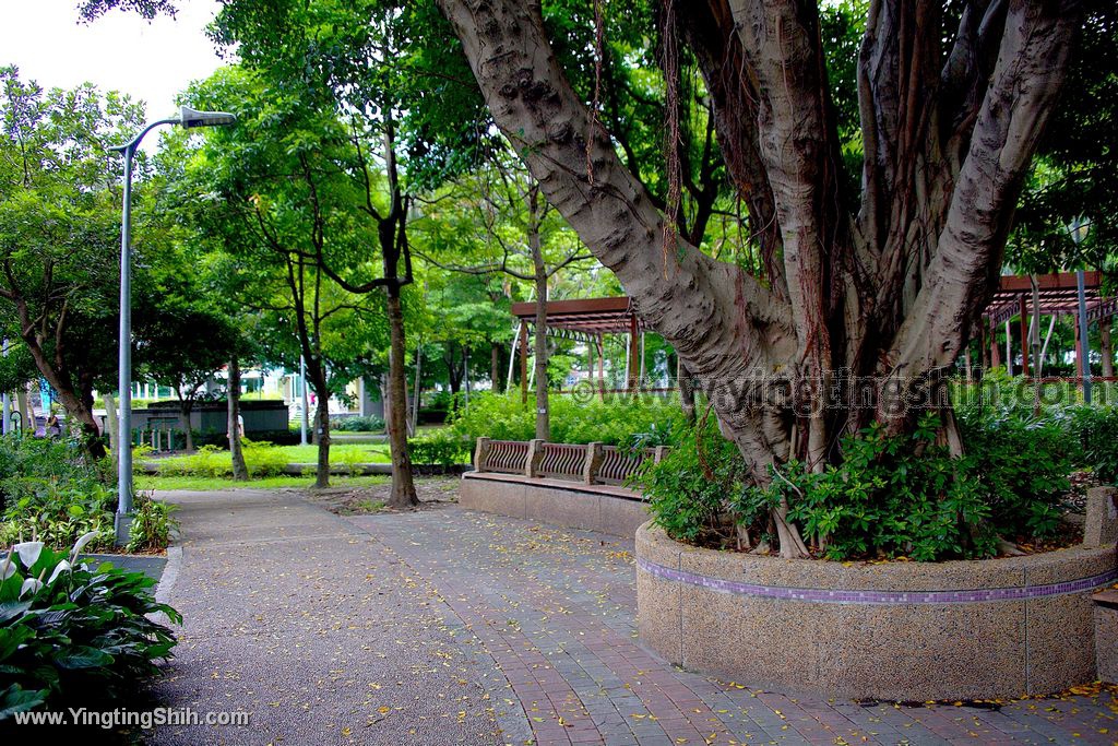 YTS_YTS_20200531_台北中山林森公園／兒童遊戲區／明石總督墓鳥居013_539A4878.jpg