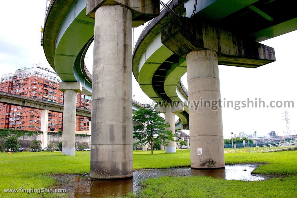 YTS_YTS_20200606_台北萬華華江雁鴨自然公園／雙園河濱公園Taipei Wanhua039_539A5686.jpg